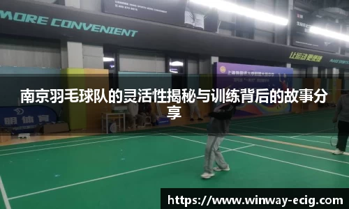 南京羽毛球队的灵活性揭秘与训练背后的故事分享