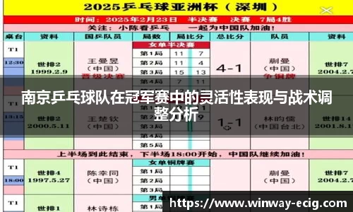 南京乒乓球队在冠军赛中的灵活性表现与战术调整分析